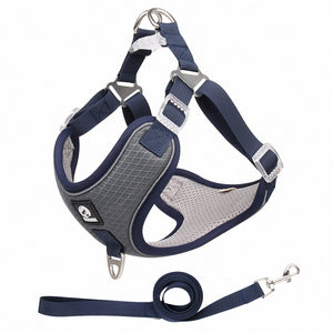 The Ultimate Comfort and Control with Our Breathable Adjustable Pet Harness And Leash