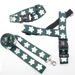 Elevate Your Walks with the Vest Style Pet Leash