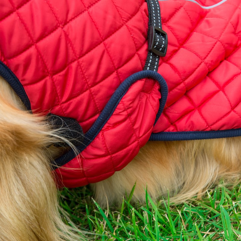 Why Your Pet Deserves the Adjustable Warm Cotton Jacket