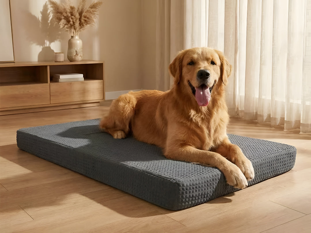 Helping Pets Relax With Comfortable Beds