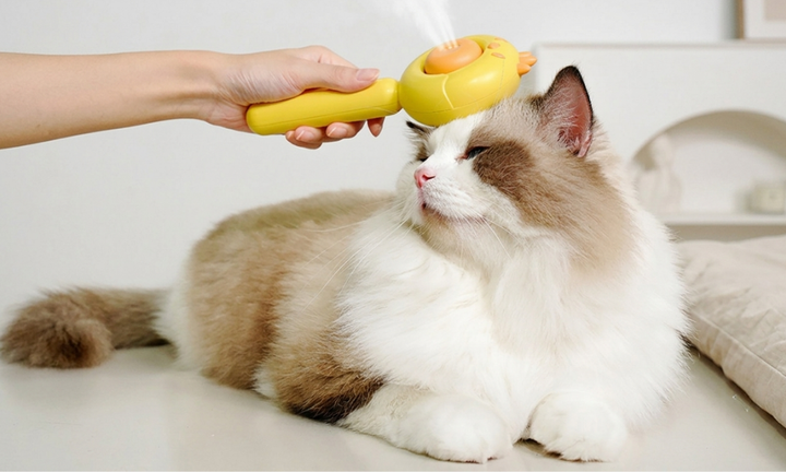 Easy Grooming Routines For Comfortable Pets